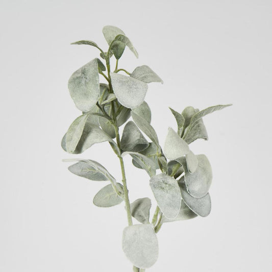 Lambs Ear Leaf Spray Green