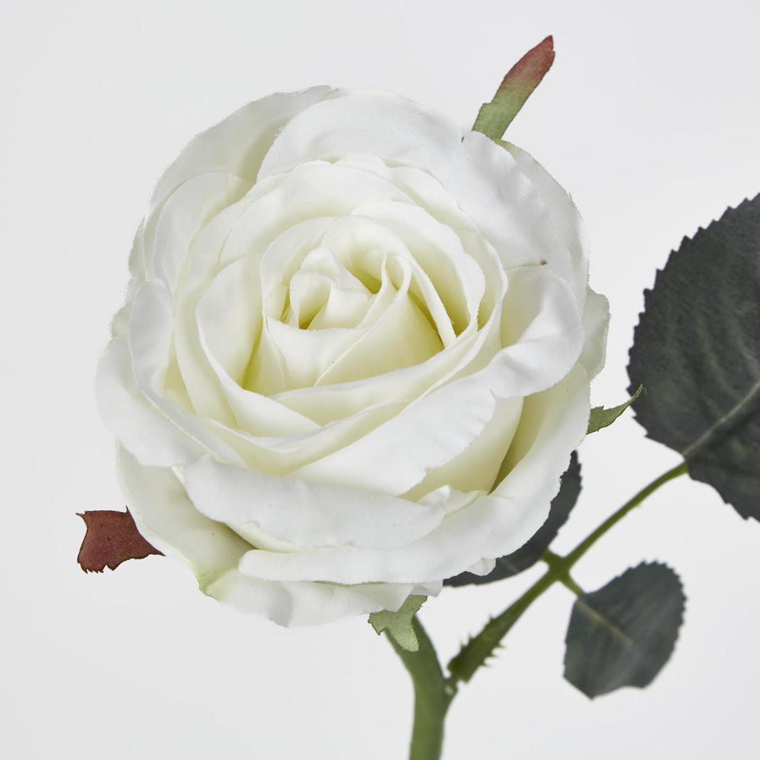 Jessica Rose Bud 31cm White