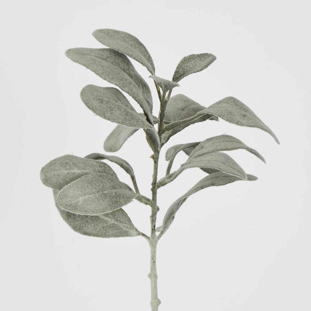 Lambs Ear leaf Spray Dark Green