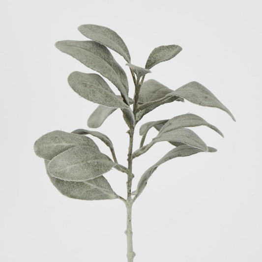 Lambs Ear leaf Spray Dark Green