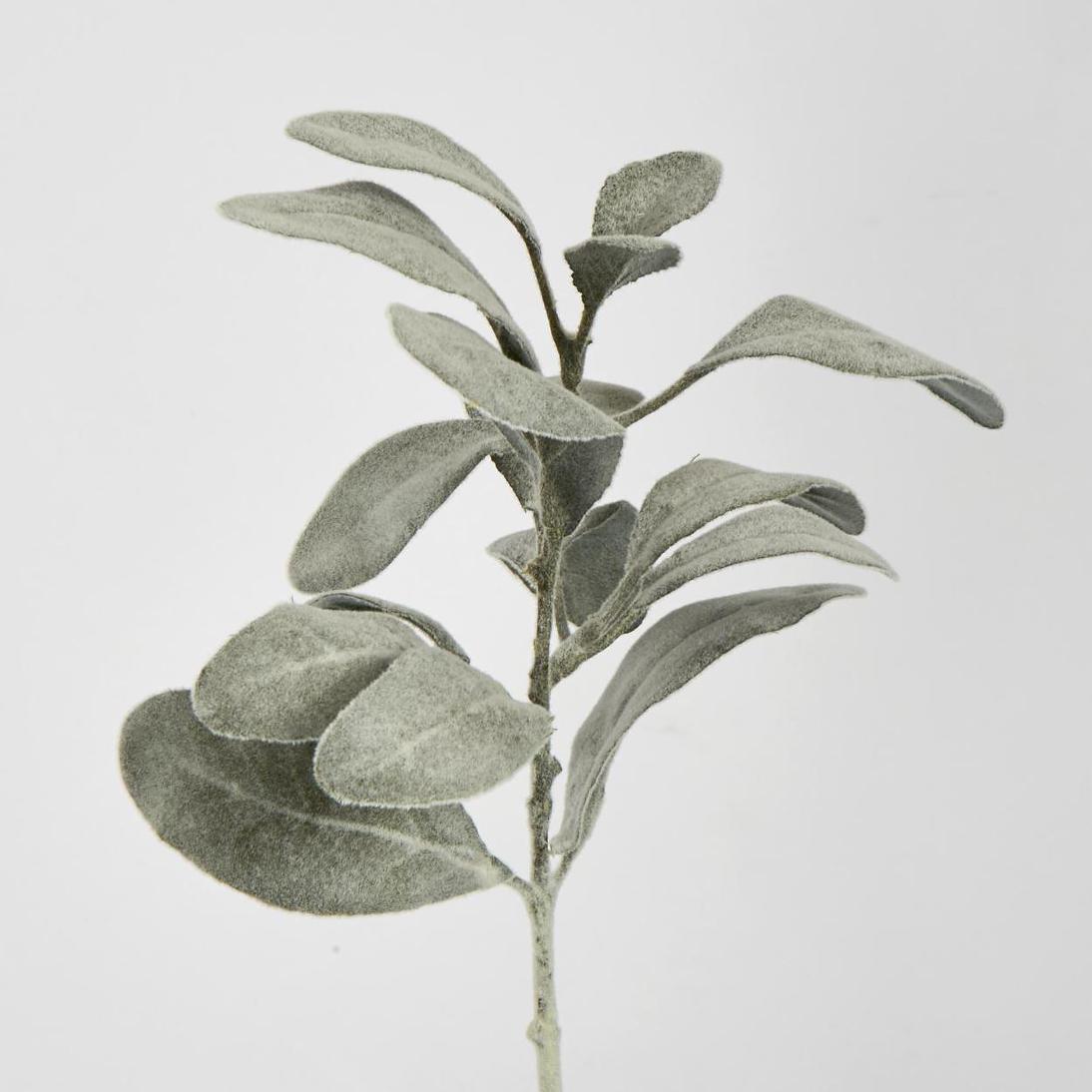 Lambs Ear leaf Spray Dark Green