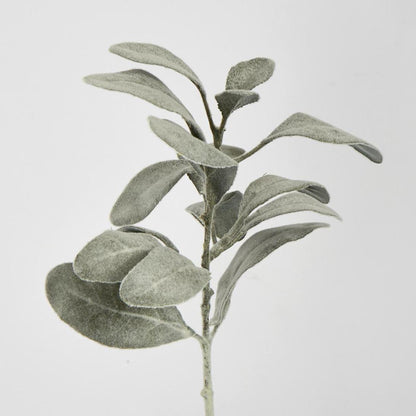 Lambs Ear leaf Spray Dark Green