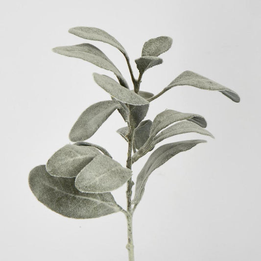 Lambs Ear leaf Spray Dark Green