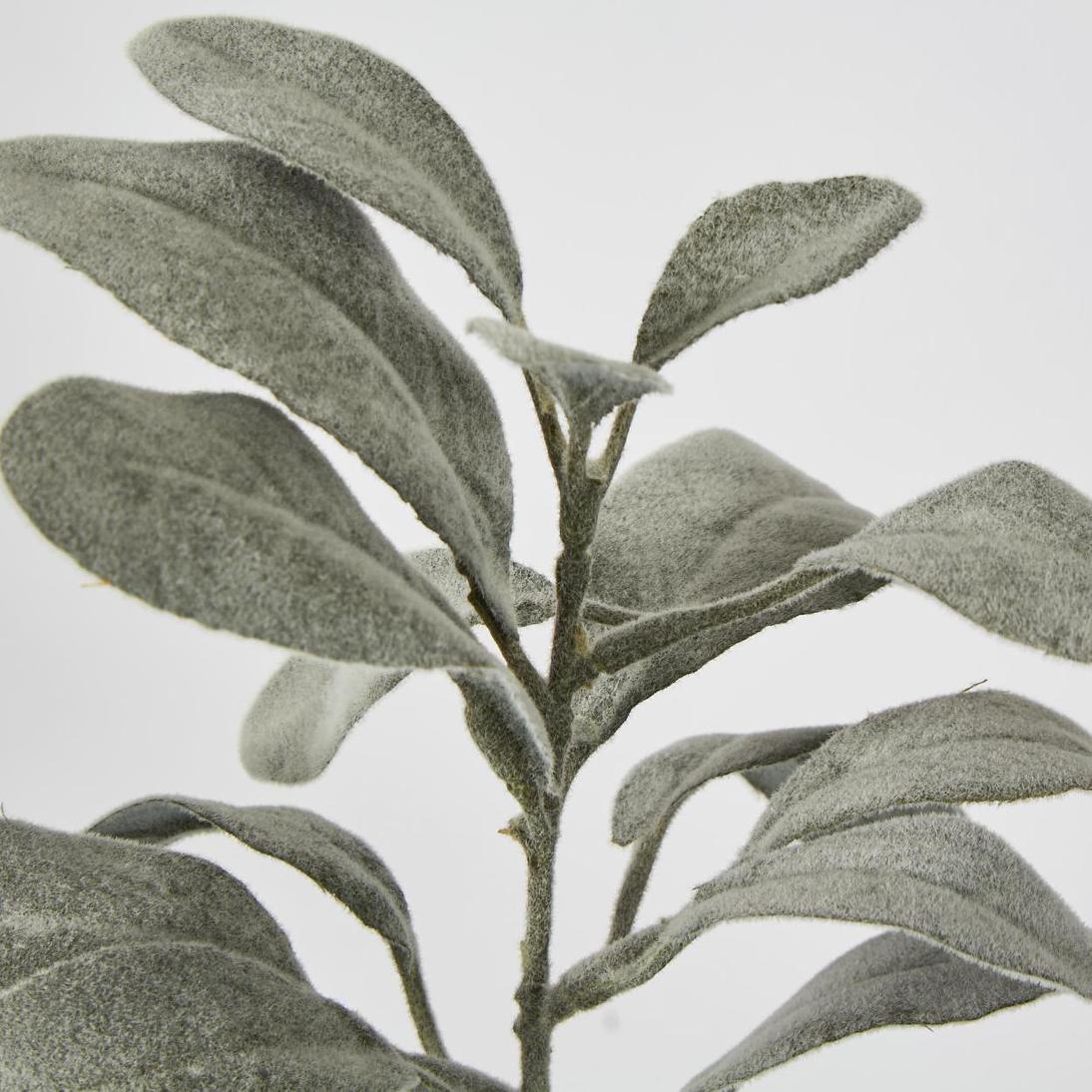 Lambs Ear leaf Spray Dark Green
