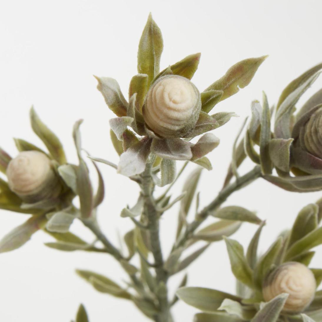 Protea Spray 77cm Cream