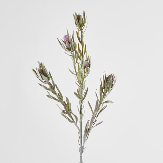 Protea Spray 77cm Burgundy