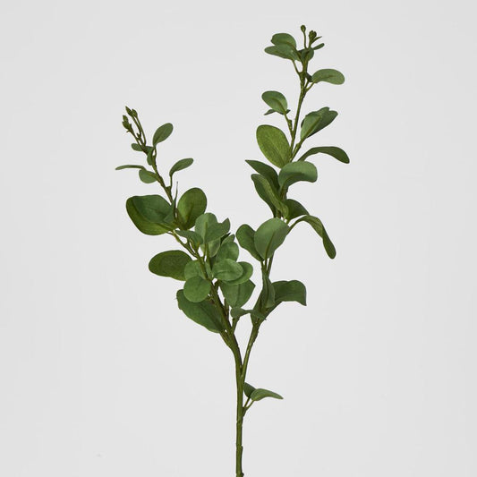 Spinning Eucalyptus Spray Green