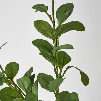Spinning Eucalyptus Spray Green