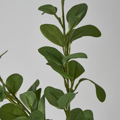 Spinning Eucalyptus Spray Green
