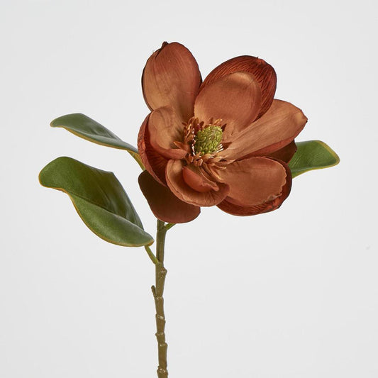 Magnolia Stem 74cm Brown
