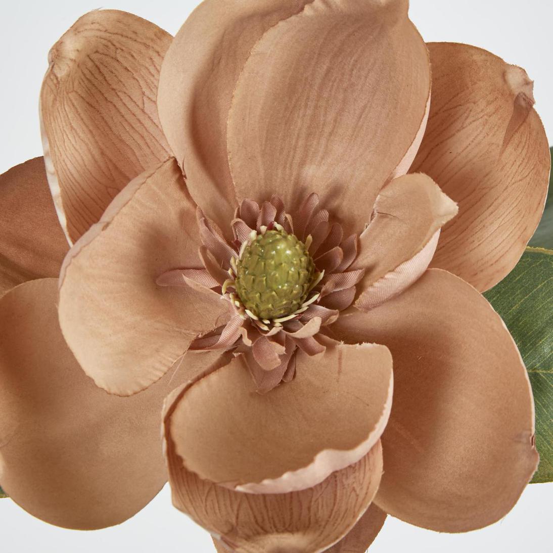 Magnolia Stem 74cm Beige