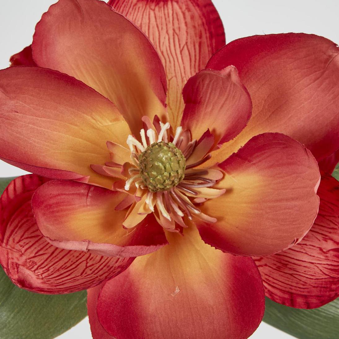 Magnolia Stem 74cm Coral Pink