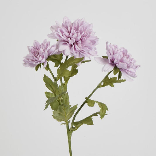 Chrysanthemum Spray x 3 Purple