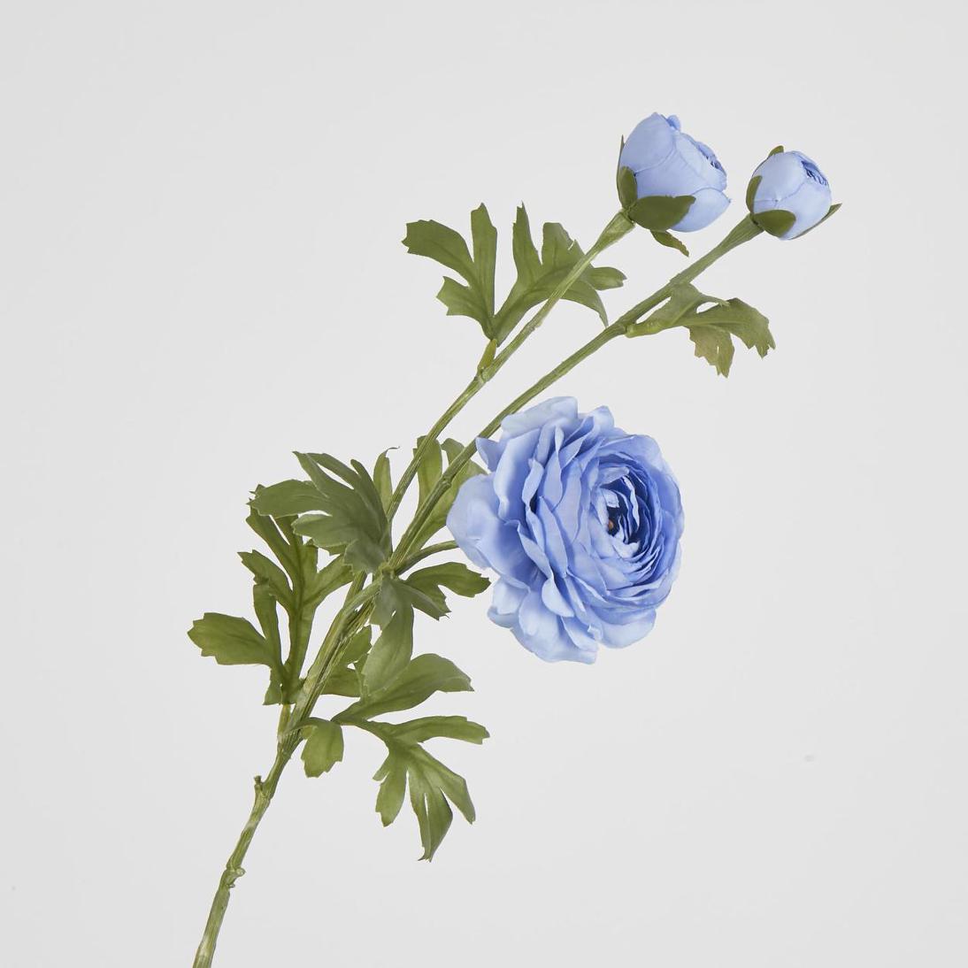 Ranunculus Spray x 3 Blue