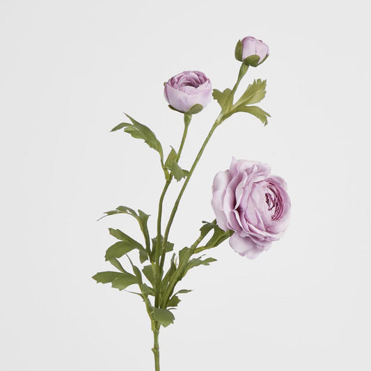 Ranunculus Spray x 3 Purple