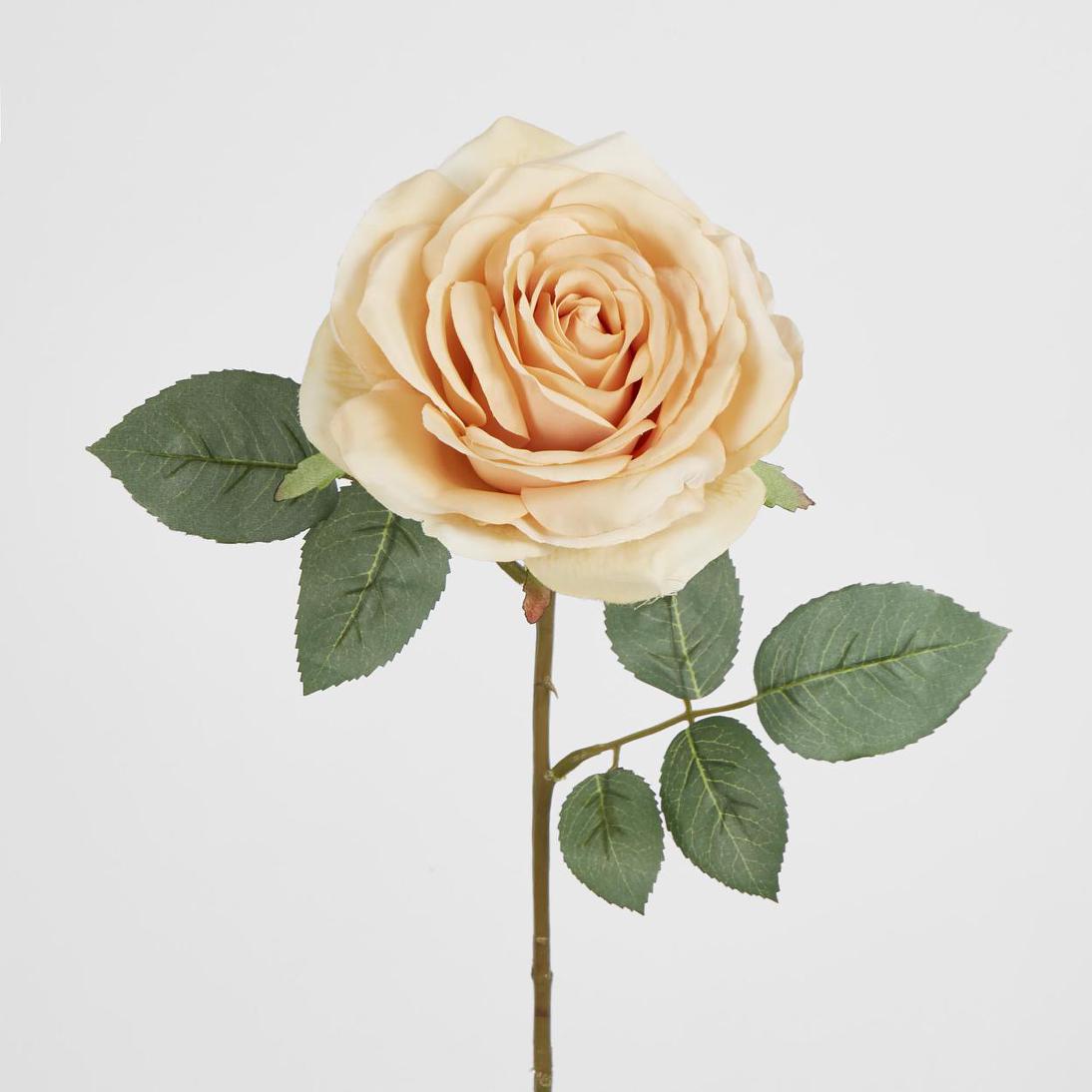 Butter Cream Rose 63cm | JMC Florals – Florabelle Living