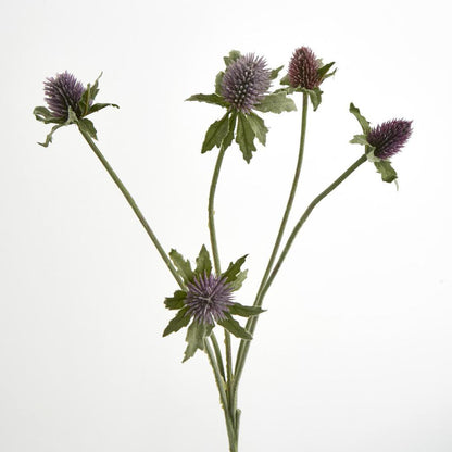 Thistle Spray Purple