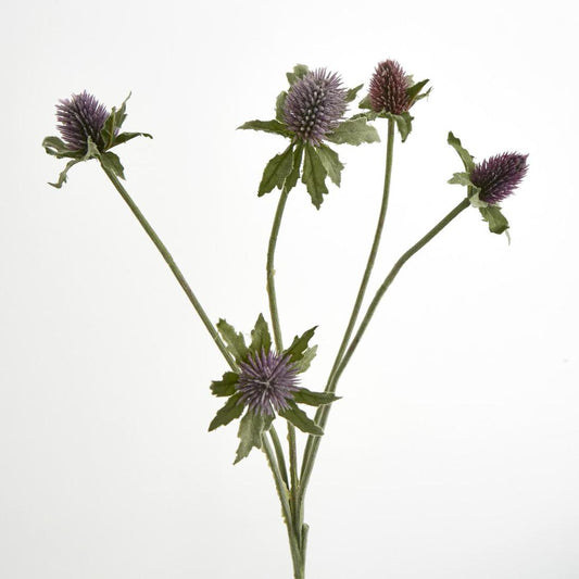 Thistle Spray Purple