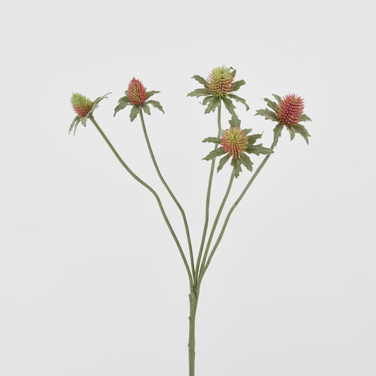 Thistle Spray Red