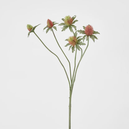 Thistle Spray Red