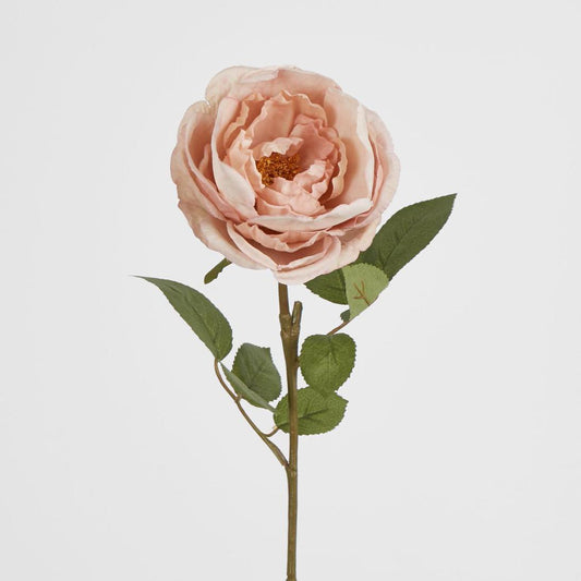 Cabbage Rose 63cm Pink