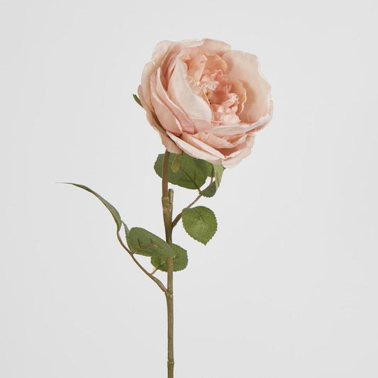 Cabbage Rose 63cm Pink
