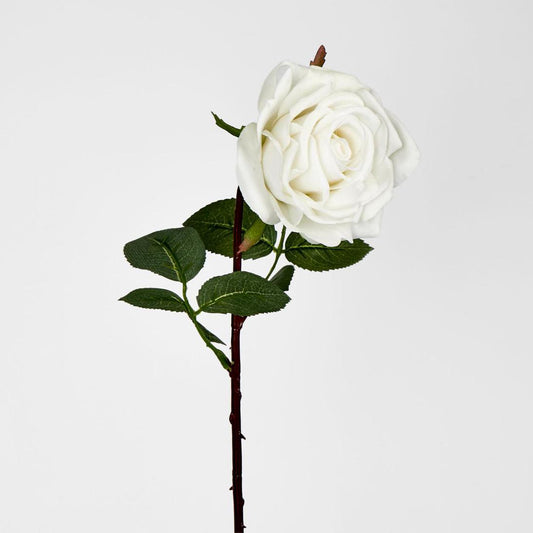 Bella Rose Real Touch 68cm White