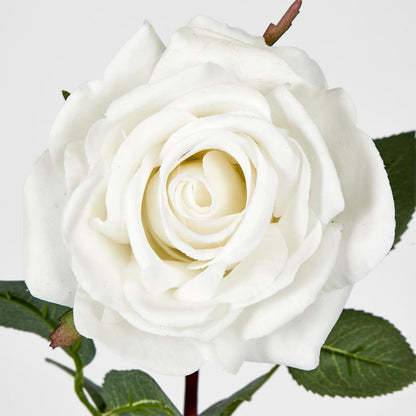 Bella Rose Real Touch 68cm White
