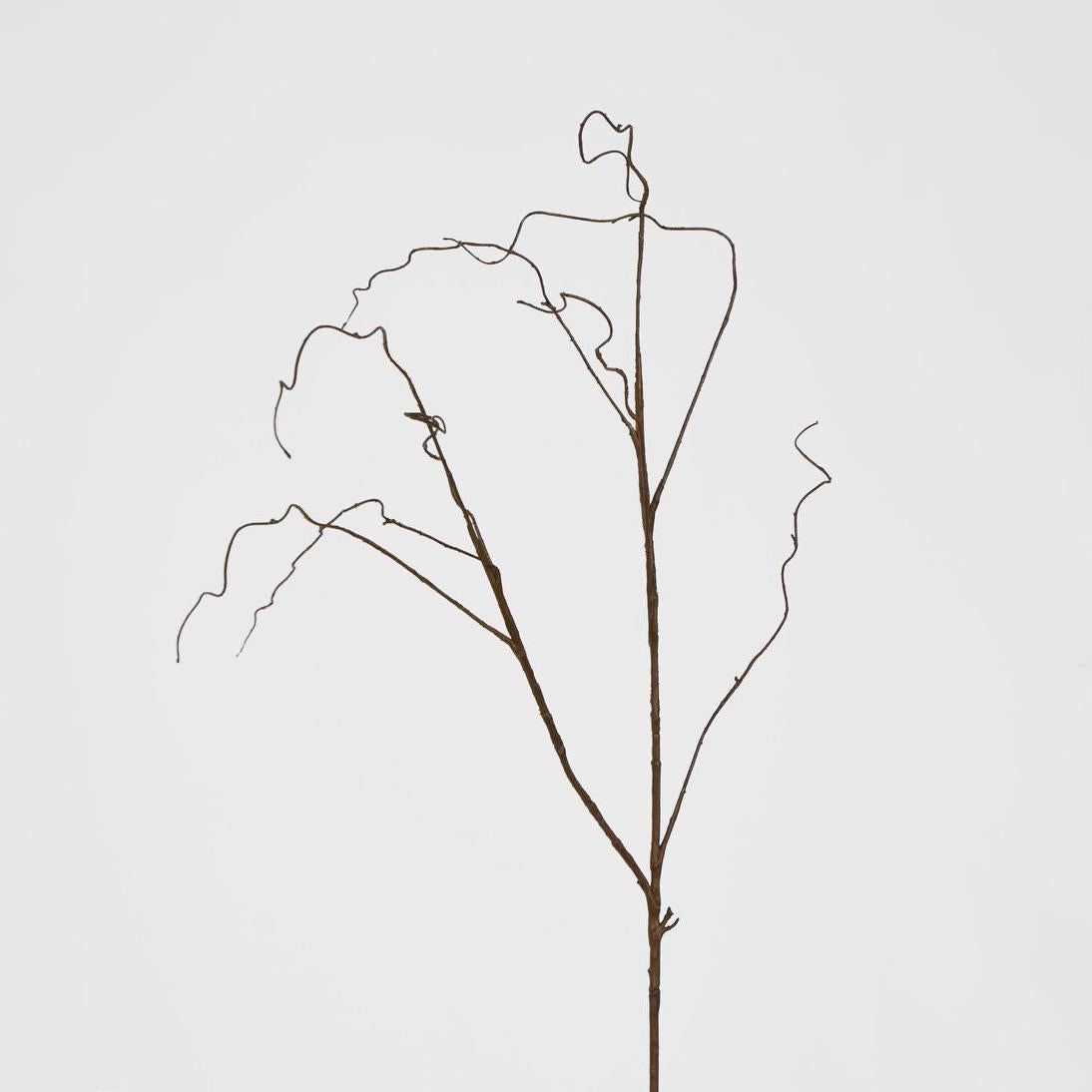 Curly Twig Brown