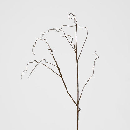 Curly Twig Brown