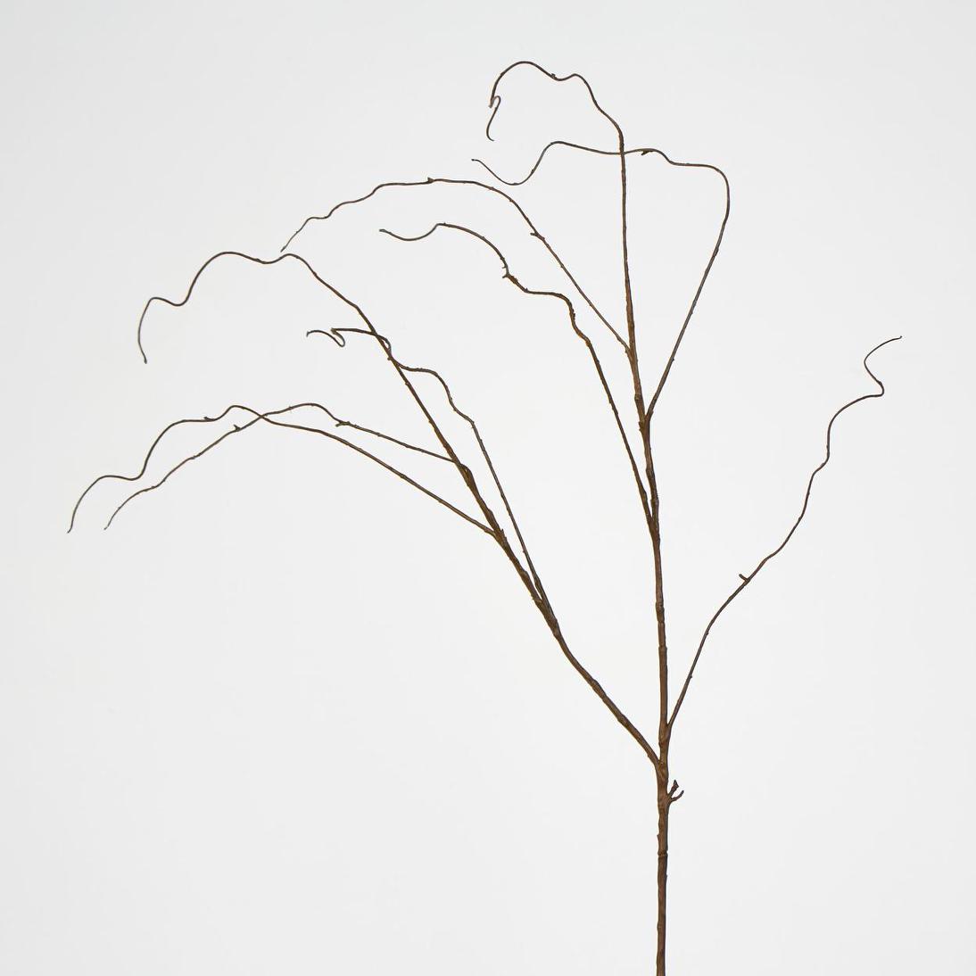 Curly Twig Brown