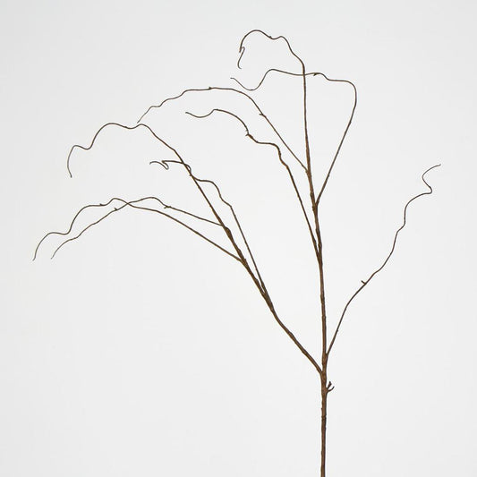 Curly Twig Brown