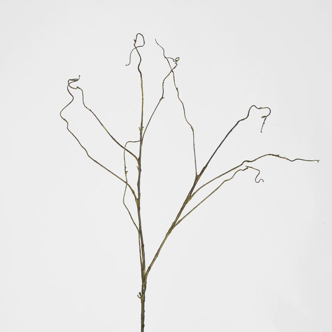 Curly Twig Dark Brown