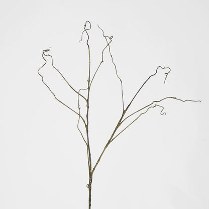 Curly Twig Dark Brown