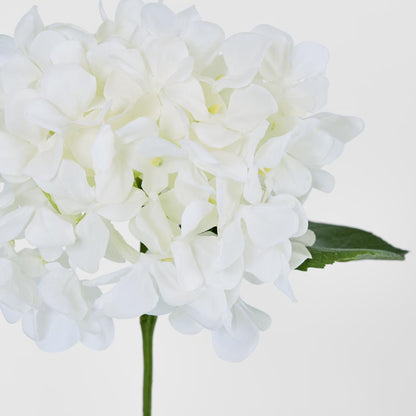 Hydrangea 47cm White