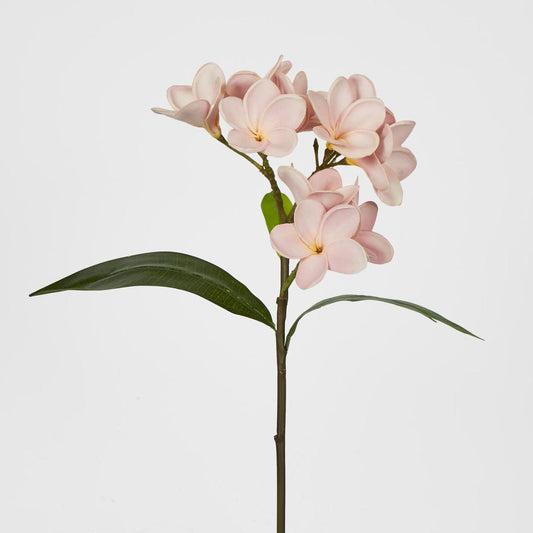 Frangipani Spray 46cm Pink