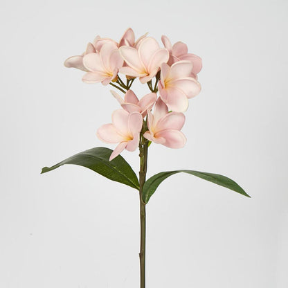 Frangipani Spray 46cm Pink