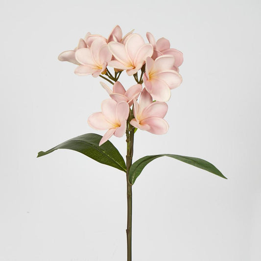 Frangipani Spray 46cm Pink
