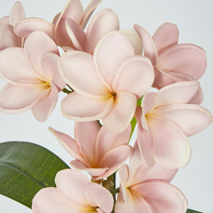 Frangipani Spray 46cm Pink