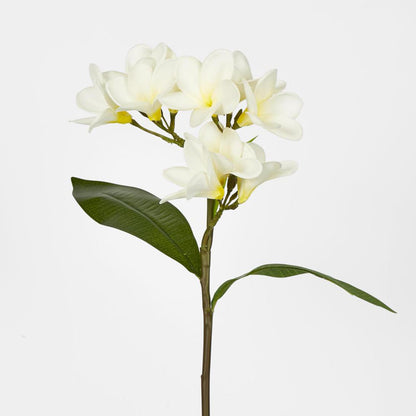 Frangipani Spray 46cm White