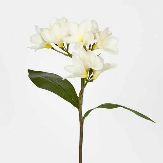 Frangipani Spray 46cm White