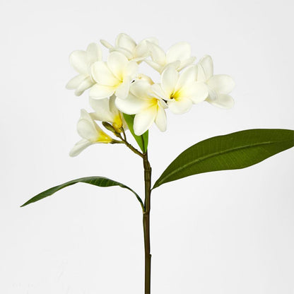 Frangipani Spray 46cm White