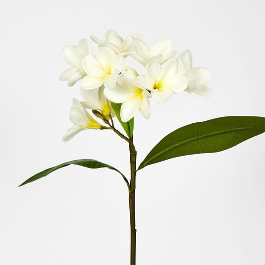 Frangipani Spray 46cm White