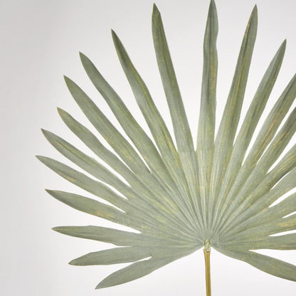 Sun Palm Leaf Green