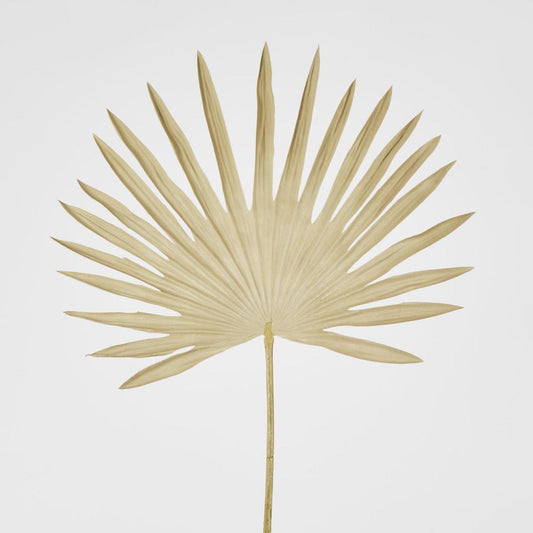 Sun Palm Leaf Natural