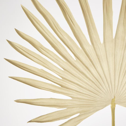 Sun Palm Leaf Natural