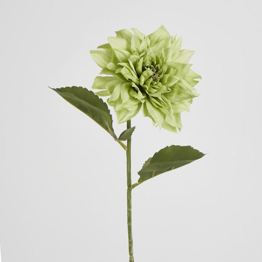 Dahlia 62cm Green