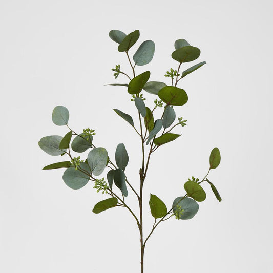 Eucalyptus with Seed 87cm Green