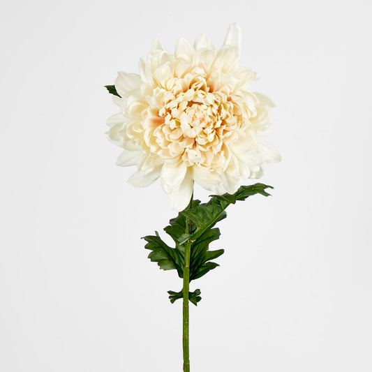 Chrysanthemum 76cm Cream