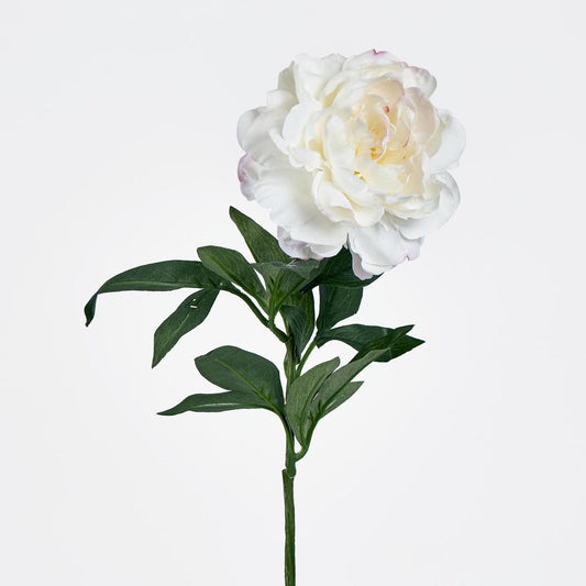 Peony Stem 66cm White